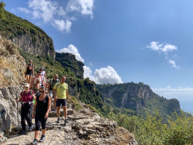 From Sorrento: Path of the Gods Hiking Experience - Meeting Point and Logistics