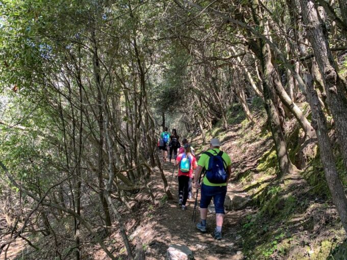 From Sorrento: Path of the Gods Hiking Experience - Customer Feedback