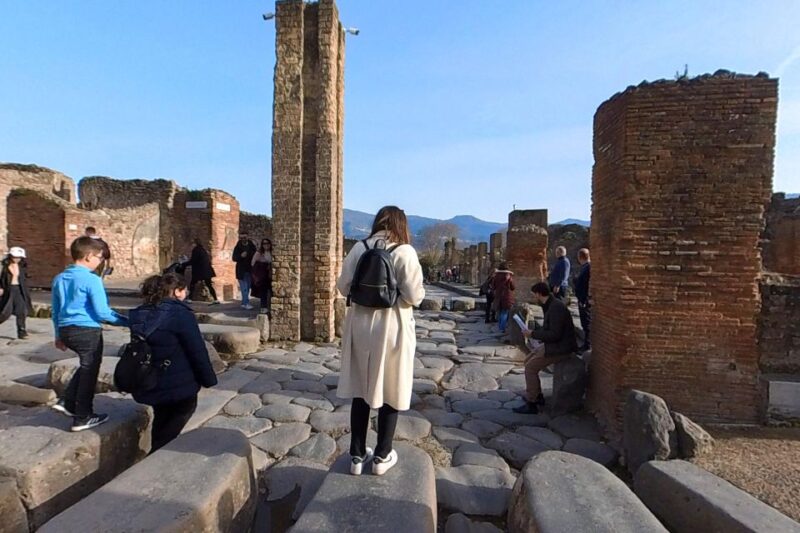 From Sorrento: Pompeii and Vesuvius Guided Tour With Lunch - Included Activities