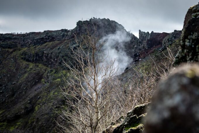 From Sorrento: Pompeii and Vesuvius Guided Tour With Lunch - Customer Feedback