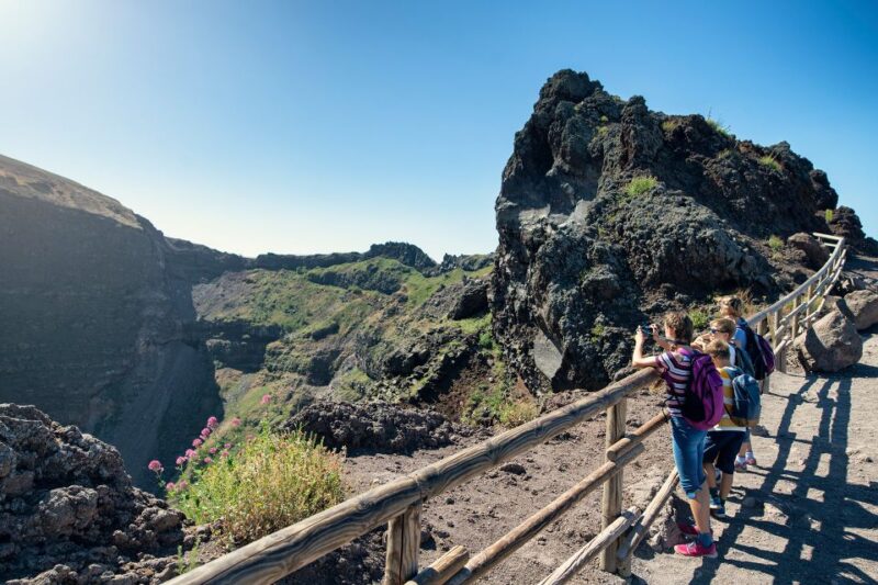 From Sorrento: Pompeii and Vesuvius Tour by Express Train - Mount Vesuvius Experience