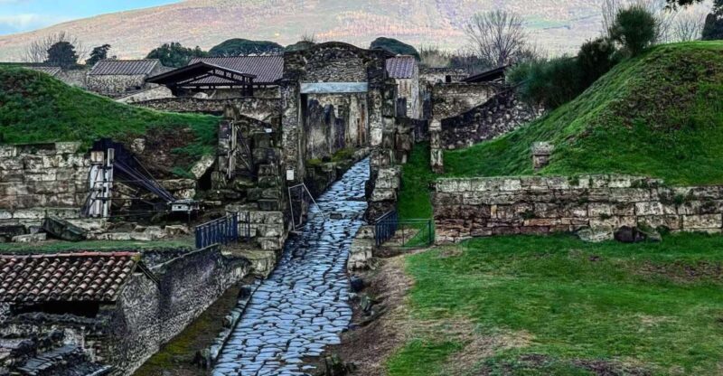 From Sorrento: Pompeii and Vesuvius Tour Skip-the-Line - Key Points