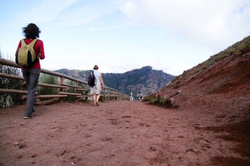 From Sorrento: Pompeii and Vesuvius Tour - Important Information and Recommendations