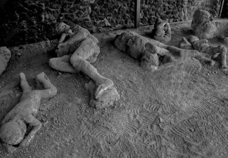 From Sorrento: Pompeii and Wine Tasting Day Trip - Guided Tour Experience