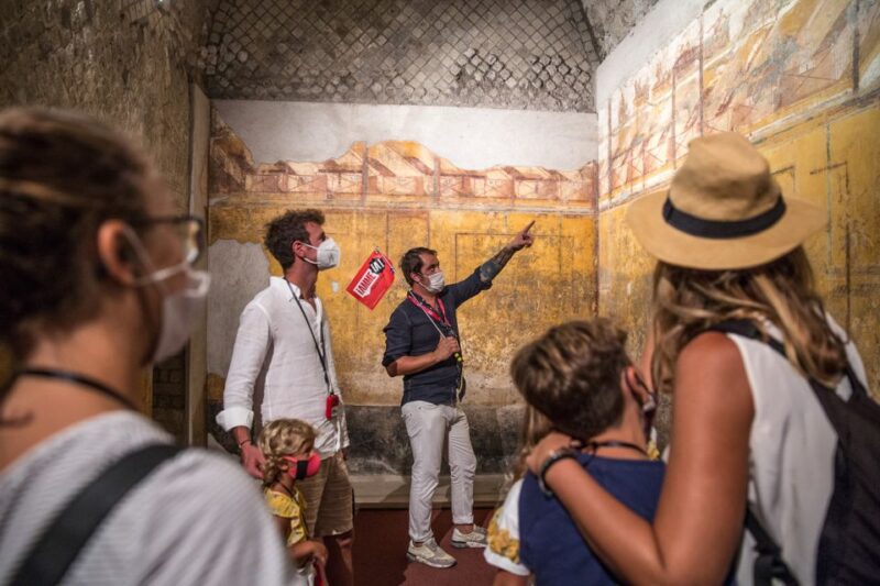 From Sorrento: Pompeii Half-Day Skip-the-Line Tour - Experience Highlights