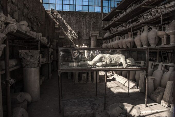 From Sorrento: Pompeii Half-Day Skip-the-Line Tour - Tour Inclusions