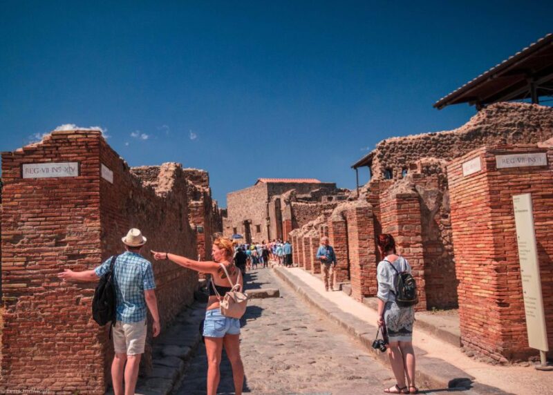 From Sorrento: Pompeii Ruins All-inclusive Guided Tour - Customer Reviews