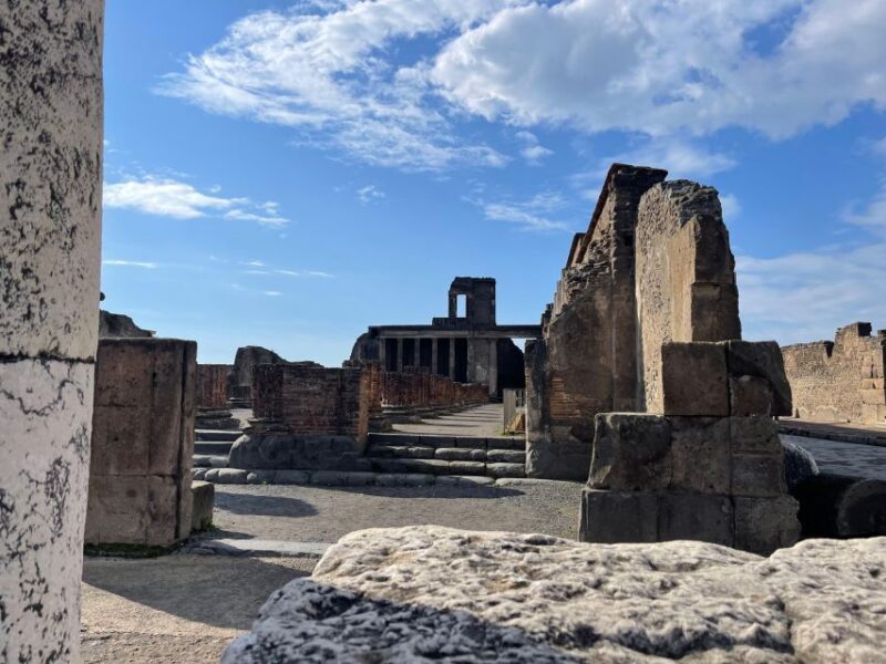 From Sorrento: Pompeii & Vesuvius Tour Small Group - Inclusions