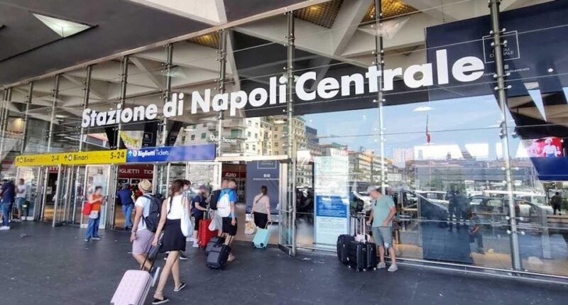From Sorrento: Private Transfer to Naples - Key Points