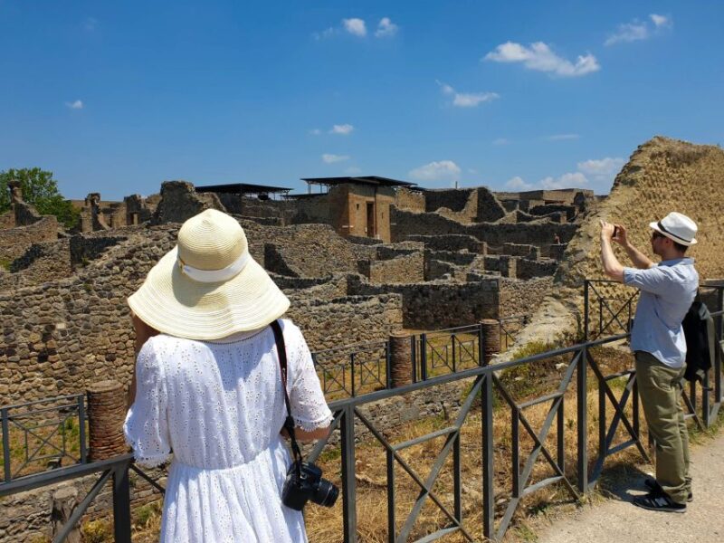 From Sorrento: Skip-the-Line Pompeii & Mount Vesuvius Tour - Inclusions