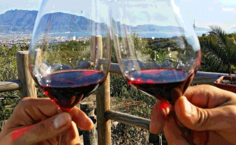 From Sorrento: Skip-the-Line Pompeii & Mount Vesuvius Tour - Customer Reviews