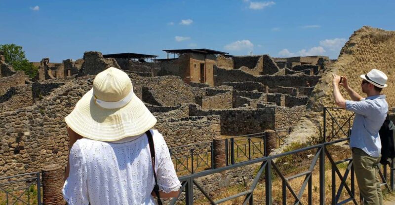 From Sorrento: Skip-the-Line Pompeii Tour and Vineyard Lunch - Key Points