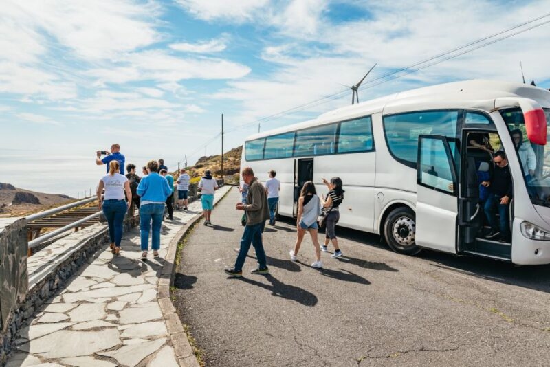 From South Tenerife: La Gomera Island Day Trip With Lunch - Important Information to Note