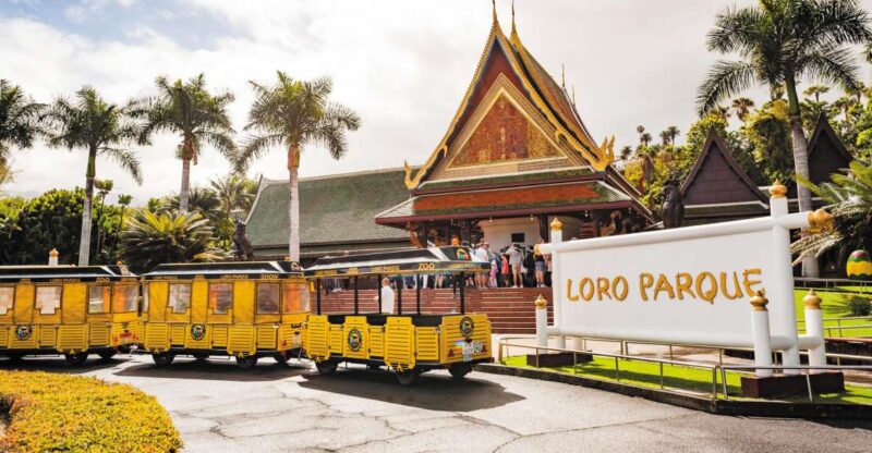 From South Tenerife: Loro Park Zoo Ticket & Hotel Transfers - Key Points