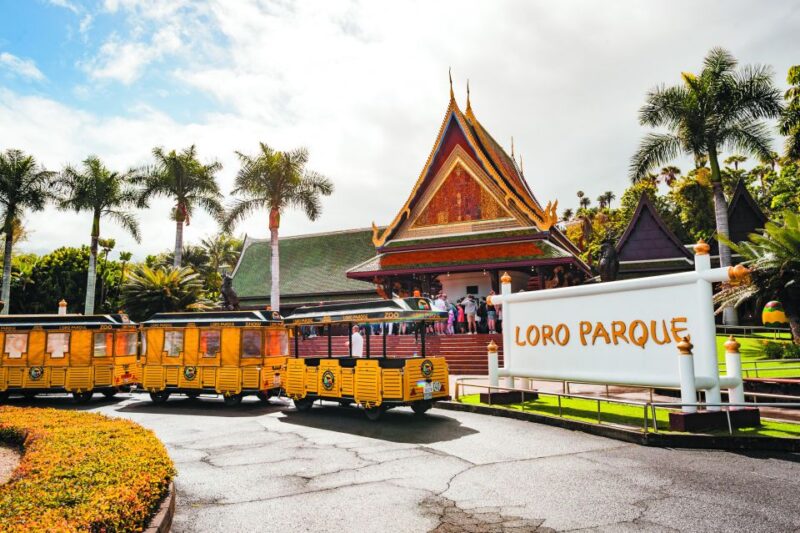 From South Tenerife: Loro Park Zoo Ticket & Hotel Transfers - Highlights of the Visit