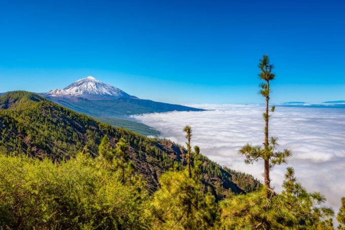 From South Tenerife: Mount Teide Hiking Day Trip & Cable Car - Summit Hike
