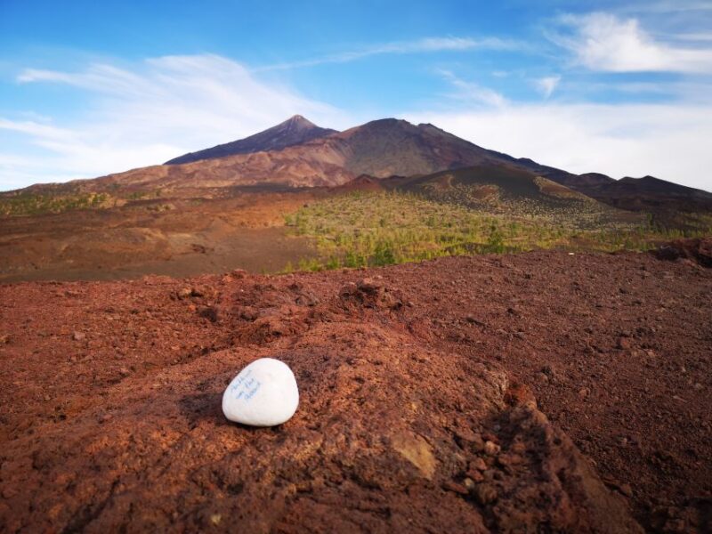 From South Tenerife: Teide National Park Tour - Boca Cangrejo Lava Flow
