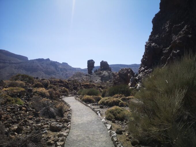 From South Tenerife: Teide National Park Tour - Volcanic Landscape Viewpoint
