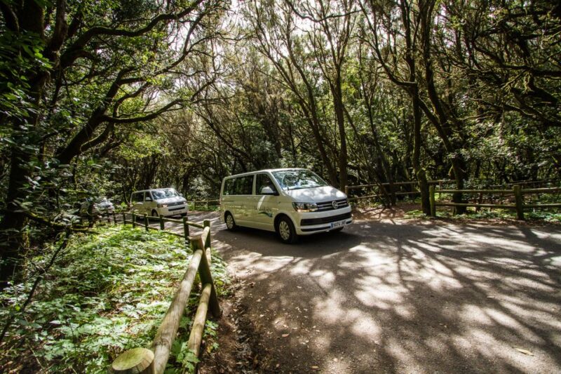 From South Tenerife: VIP Gomera Tour - Passport and ID