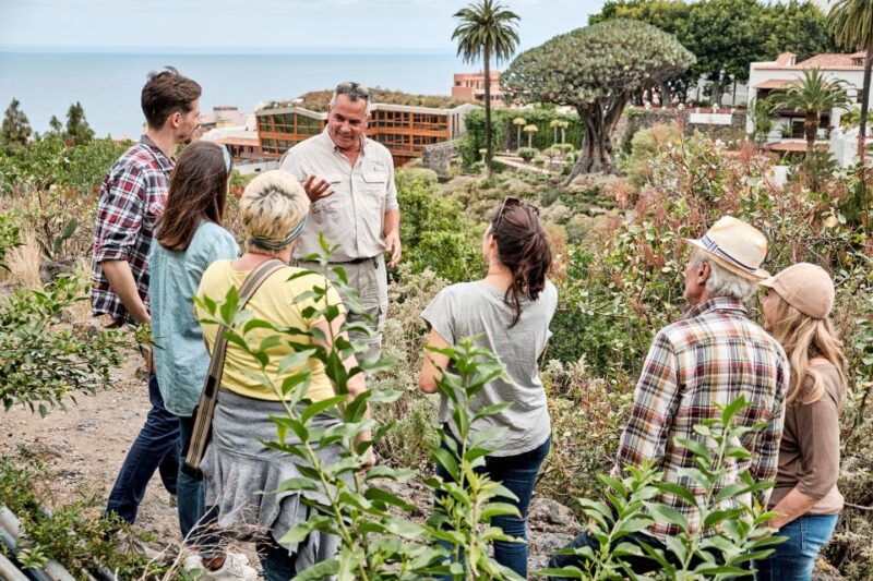 From South Tenerife: VIP Gran Tour Tenerife Island - Key Points