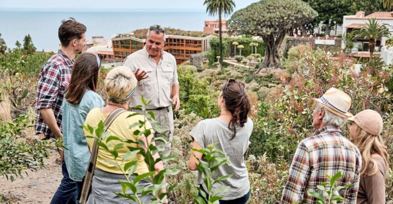 From South Tenerife: VIP Gran Tour Tenerife Island - Highlights of the Tour