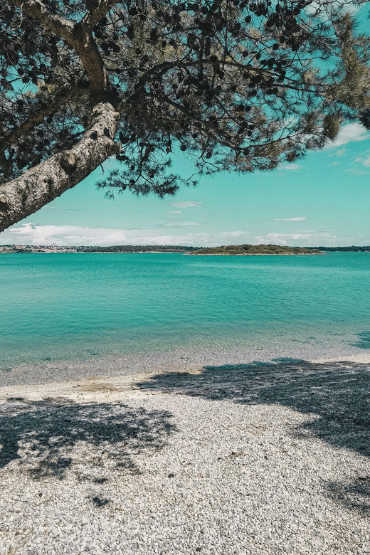 From Split Area to Brilliant Brač: a Day of Island Bliss - Safety and Comfort
