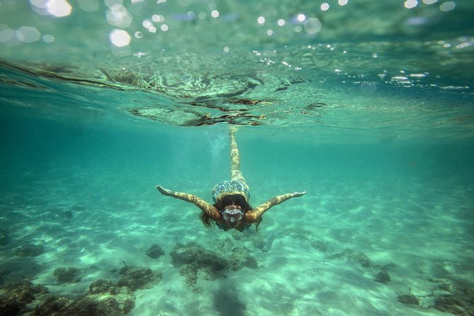 From Split: Blue Lagoon and 3 Islands Fish Picnic Boat Tour - Tour Highlights