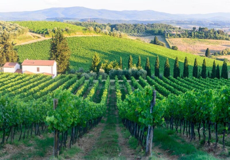 From Split Croatia: Wine Tour and Gourmet Experience - Itinerary Highlights