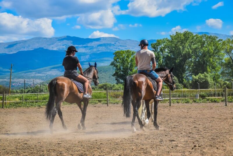 From Split: Full-Day Horse Riding & Quad Biking With Lunch - Suitability Restrictions