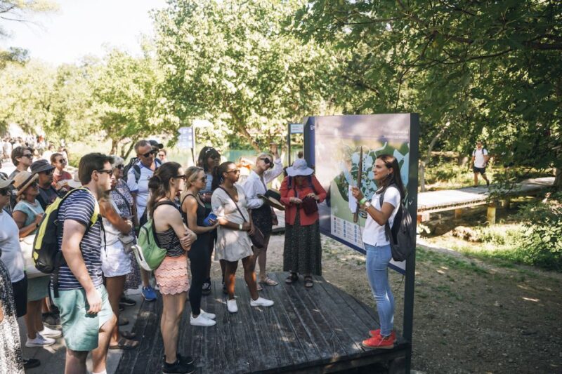 From Split: Krka Waterfalls, Food & Wine Tasting Tour - Highlights and Experiences