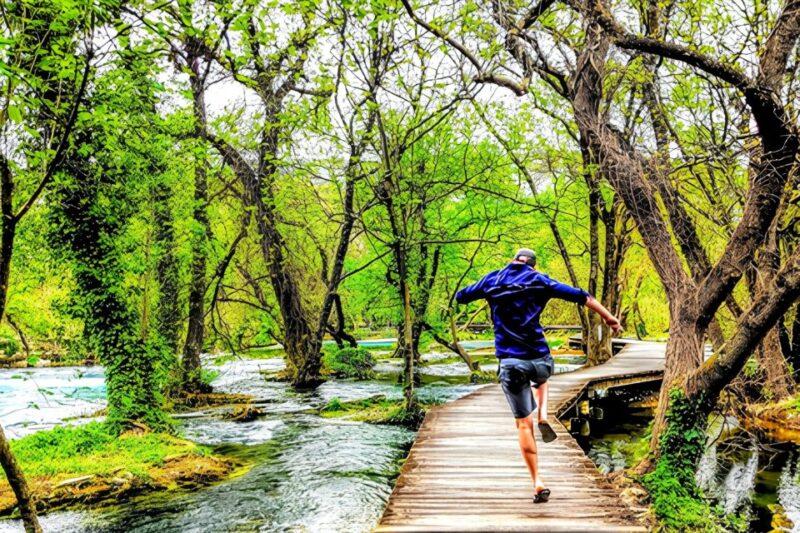 From Split: Krka Waterfalls With Wine & Cheese Tasting Tour - Itinerary Highlights