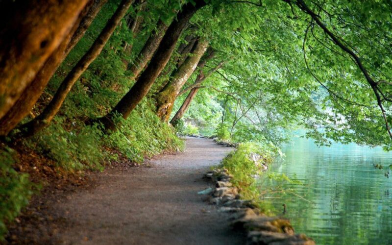 From Split or Trogir: Plitvice Lakes Guided Full-Day Tour - Good To Know