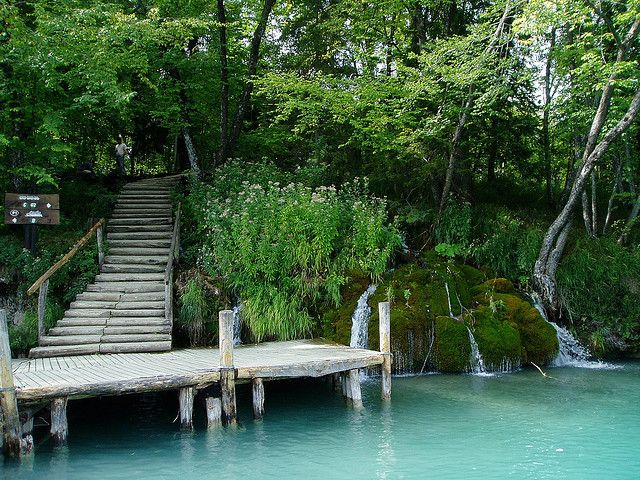 From Split or Trogir: Plitvice Lakes Private Tour - Participant Information