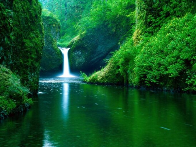 From Split or Trogir: Plitvice Lakes Private Tour - Frequently Asked Questions