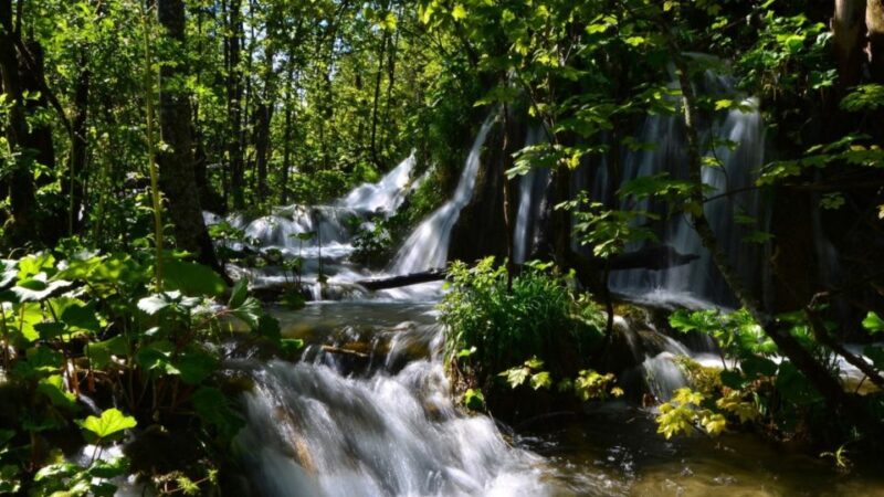 From Split or Trogir: Plitvice Lakes Trip With Entry Ticket - Good To Know