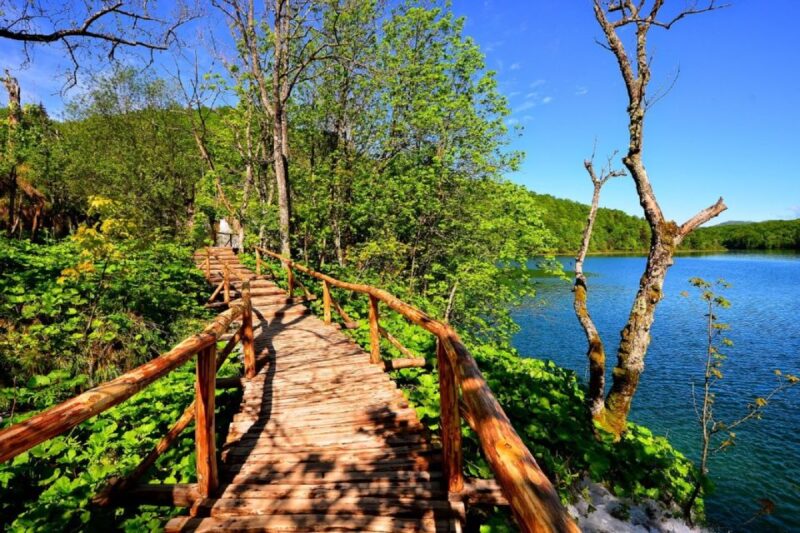 From Split or Trogir: Plitvice Lakes Trip With Entry Ticket - Itinerary Highlights