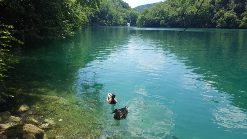 From Split or Trogir: Plitvice Lakes Trip With Entry Ticket - Tour Cancellation and Refund Policy