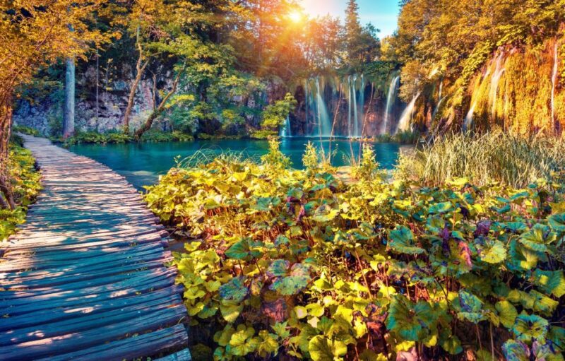 From Split: Plitvice Lakes Full-Day Trip - Customer Reviews and Feedback