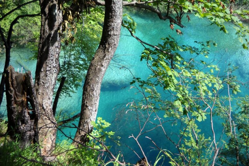From Split: Plitvice Lakes Fully-Guided Day Tour - Tour Inclusions