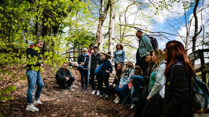 From Split: Plitvice Lakes Guided Tour - Tour Experience and Activities