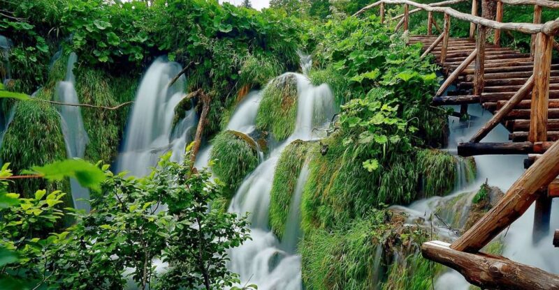 From Split: Private Plitvice Lakes and Zadar Tour With Lunch - Included Amenities