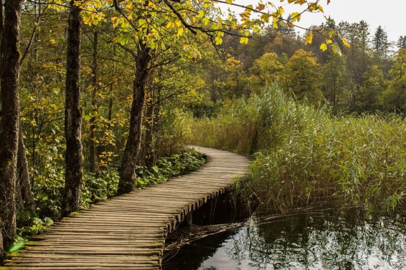 From Split: Private Tour to Plitvice Lakes National Park - Customer Reviews