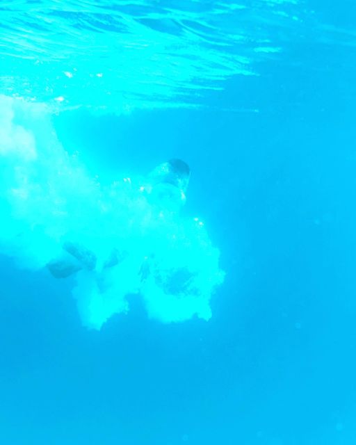 From Split/Trogir: to Blue Lagoon & Solta Half-Day Private - Customer Reviews and Ratings