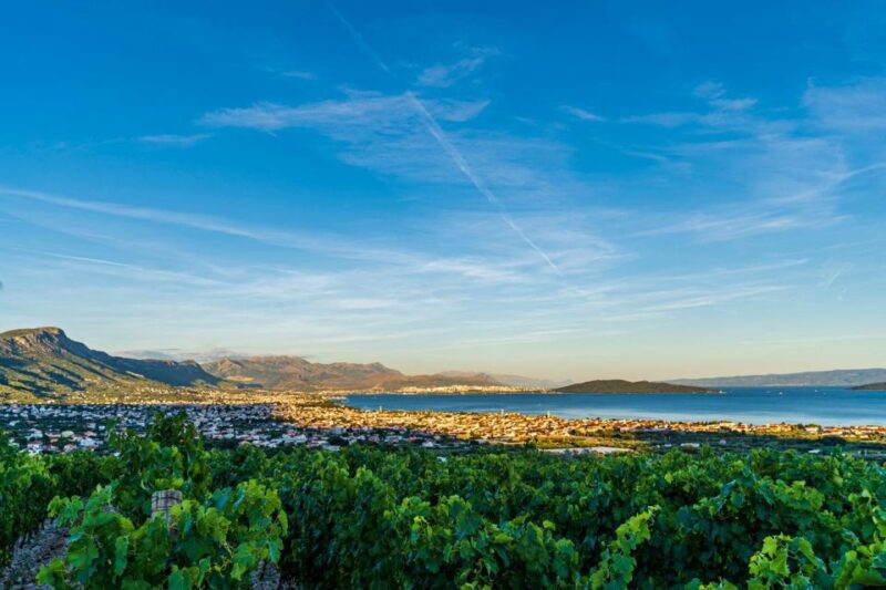 From Split: Vineyard Wine Tasting Experience With a Sea View - Important Information