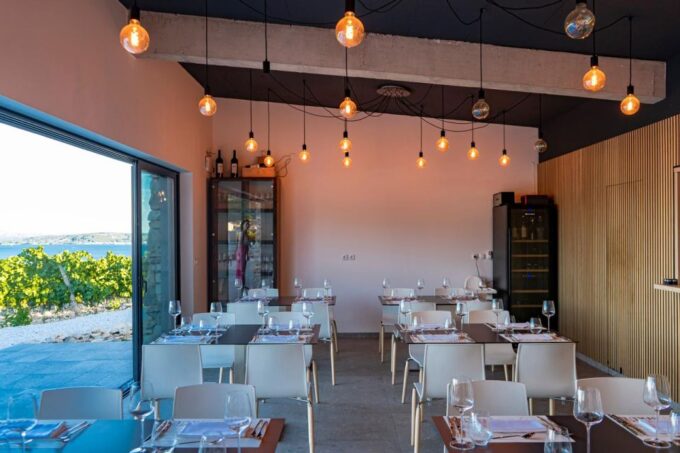 From Split: Vineyard Wine Tasting Experience With a Sea View - Views and Ambiance