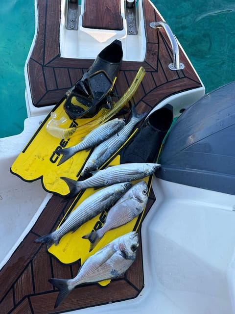 From Split:DIVING & BLUE CAVE 6 ISLAND TOUR WITH LUNCH - Cancellation Policy