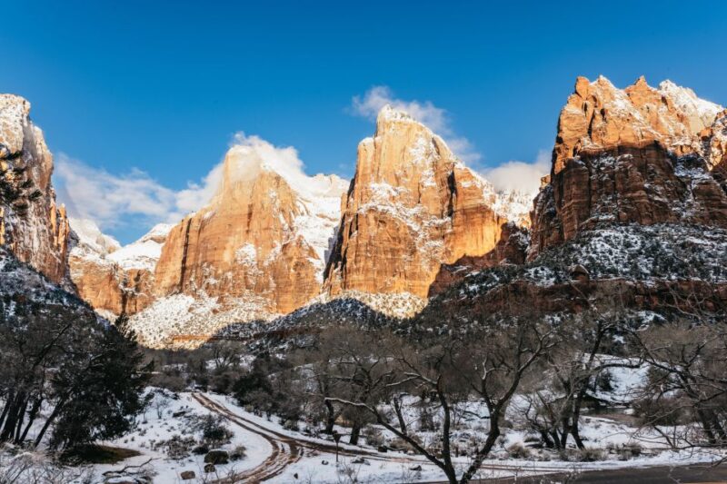 From Springdale: 4-hour Zion Canyon Scenic Hiking Tour - Tour Experience and Highlights