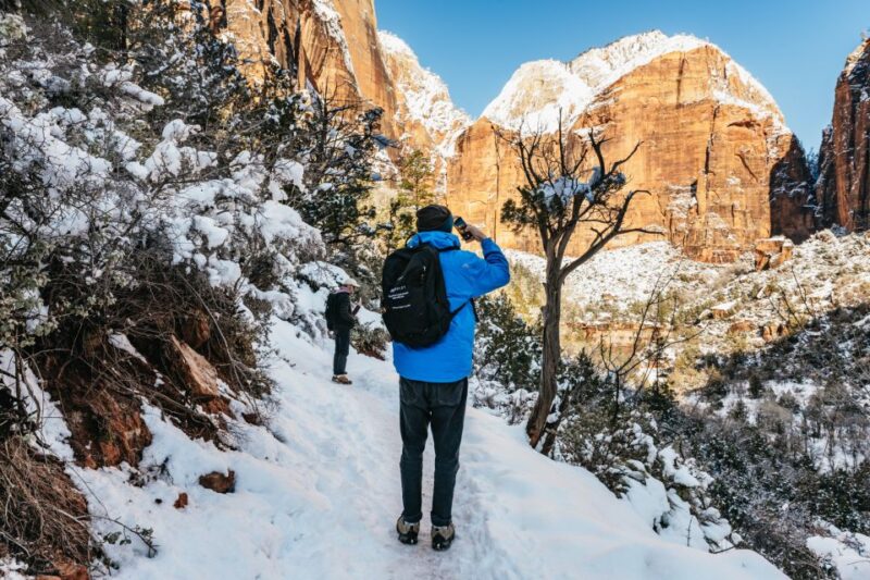 From Springdale: 4-hour Zion Canyon Scenic Hiking Tour - Inclusions and Logistics