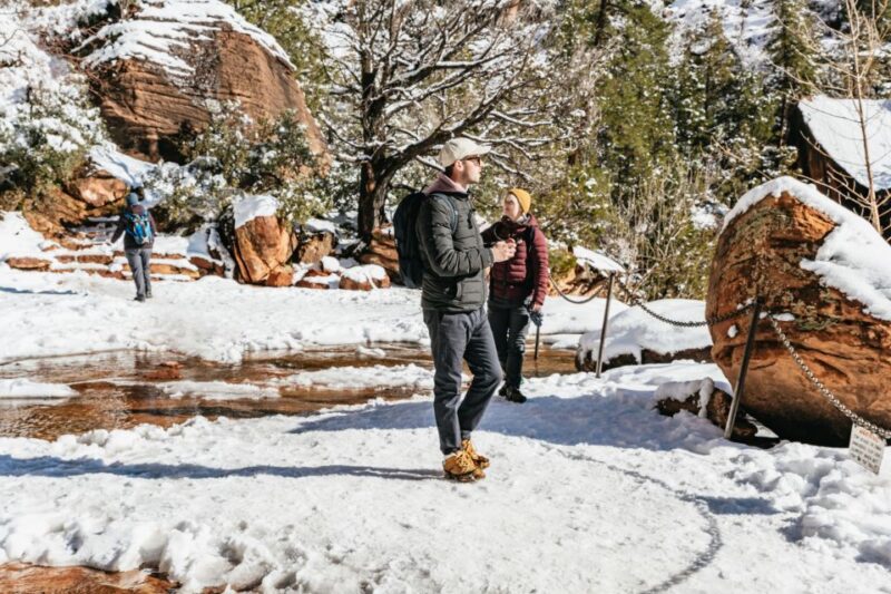 From Springdale: 4-hour Zion Canyon Scenic Hiking Tour - Preparation and Requirements