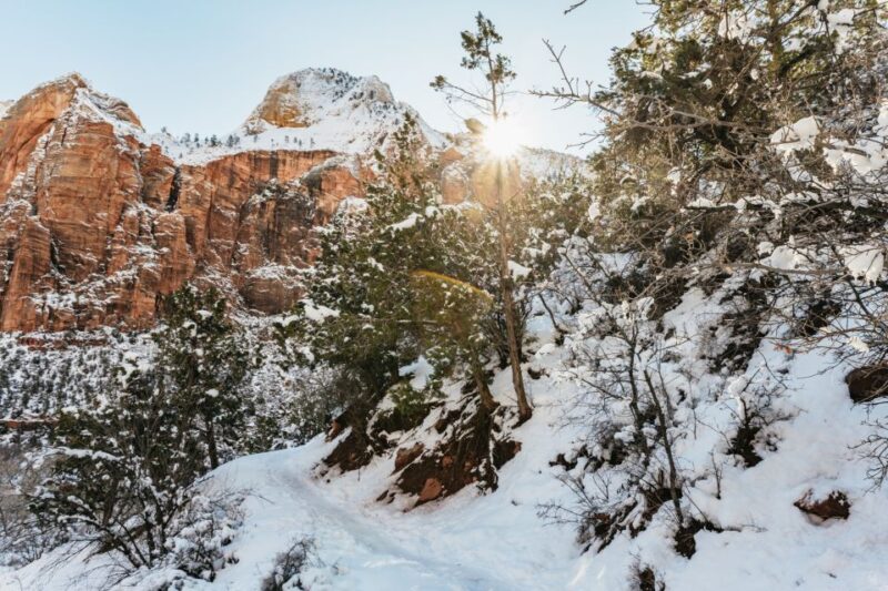 From Springdale: 4-hour Zion Canyon Scenic Hiking Tour - Customer Feedback and Ratings
